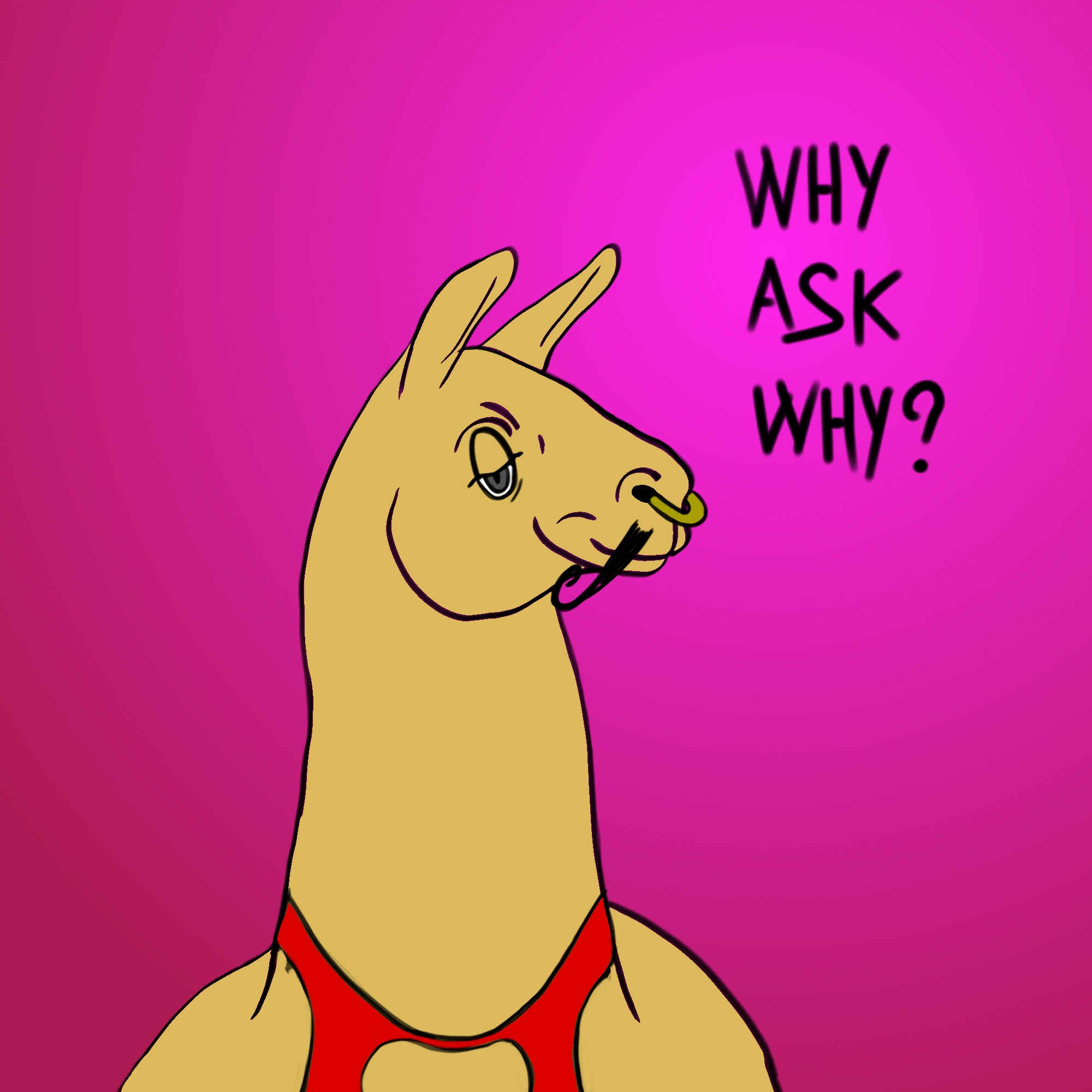 005-why_ask_why